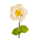 Inshanoor Phool - Firangpani (Champa) Set of 6