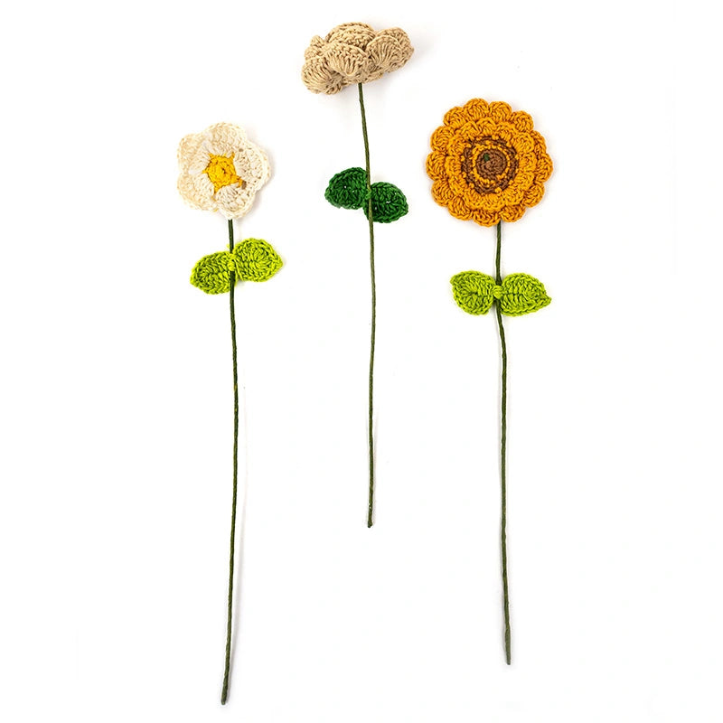 Inshanoor Phool - Firangpani (Champa) Set of 6