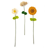 Inshanoor Phool - Firangpani (Champa) Set of 6