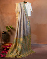 Sona-Chandi Tussar Saree with Soof Hand Embroidery
