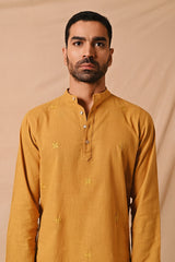 Ronav  Chikankari Allover Embroidered  Short Kurta