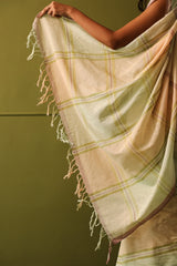 Yuni Pastel Green Handwoven Saree